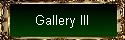 Gallery III